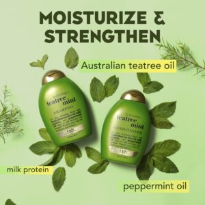 Ogx teatree mint shampoo