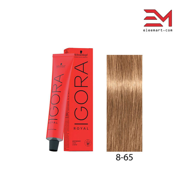 رنگ موی بلوند روشن شکلاتی طلایی ایگورا 8.65 رویال Igora Royal 8-65